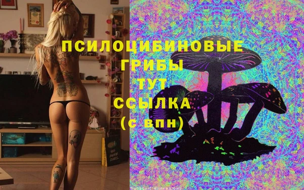 бутират Лагань