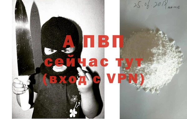 дмт Лабытнанги