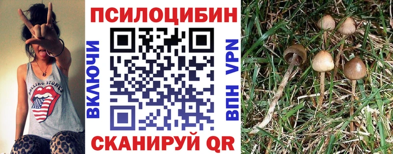 где можно купить наркотик  Ачинск  маркетплейс какой сайт  Псилоцибиновые грибы ЛСД  blacksprut ссылки 