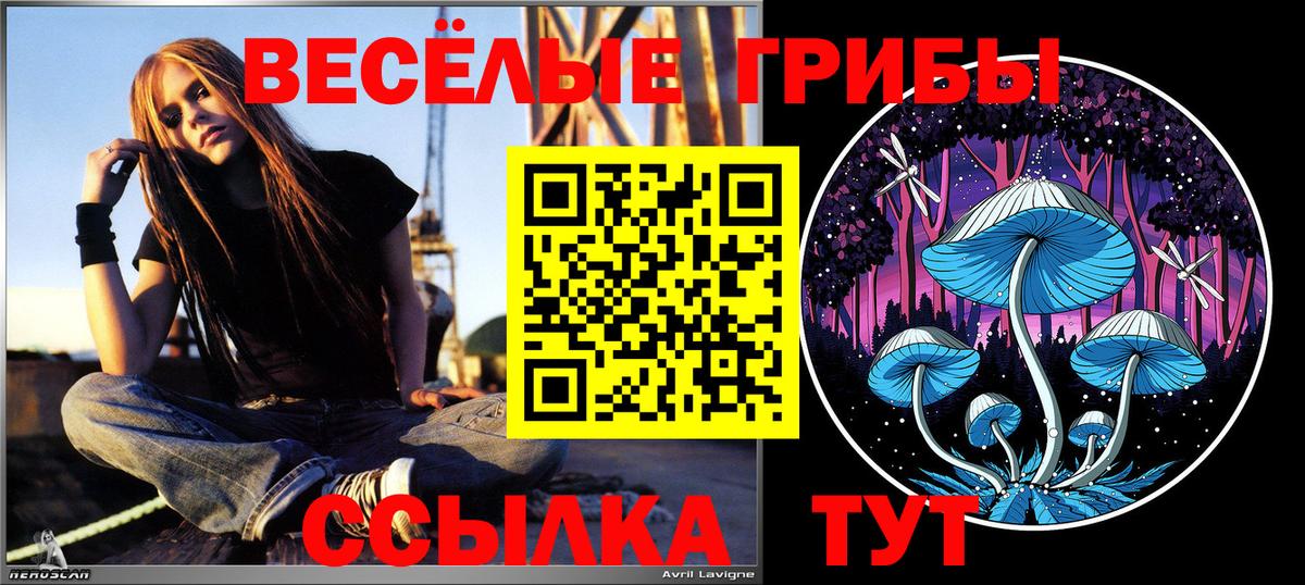 Псилоцибиновые грибы MAGIC MUSHROOMS  Вход с VPN  Ачинск 