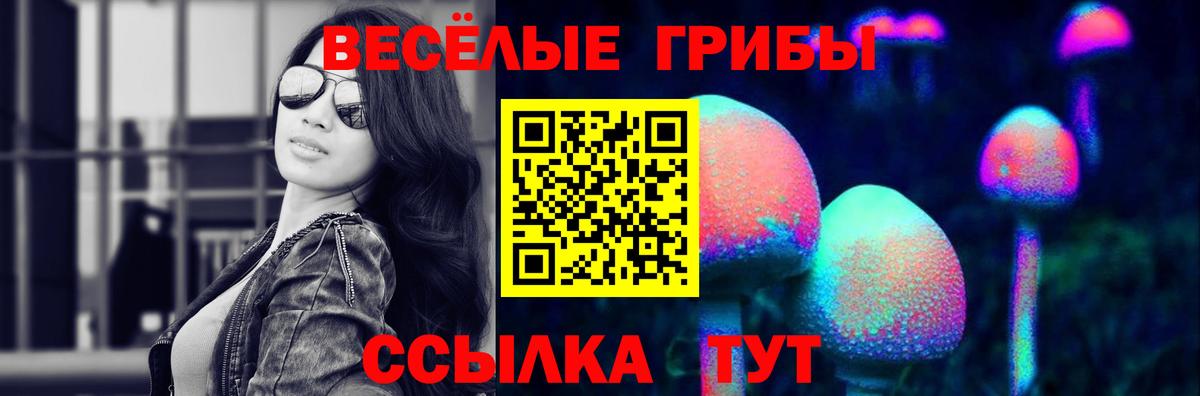 Галлюциногенные грибы GOLDEN TEACHER  Псилоцибиновые грибы MAGIC MUSHROOMS  Ачинск 